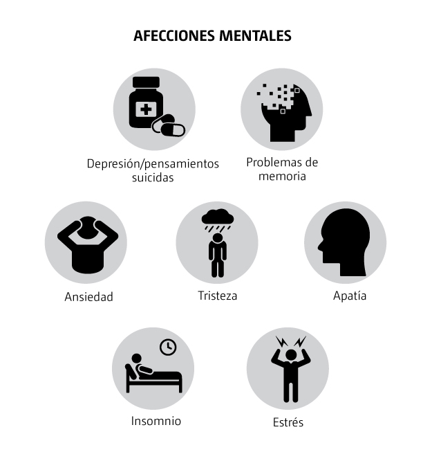 Gráfico 5