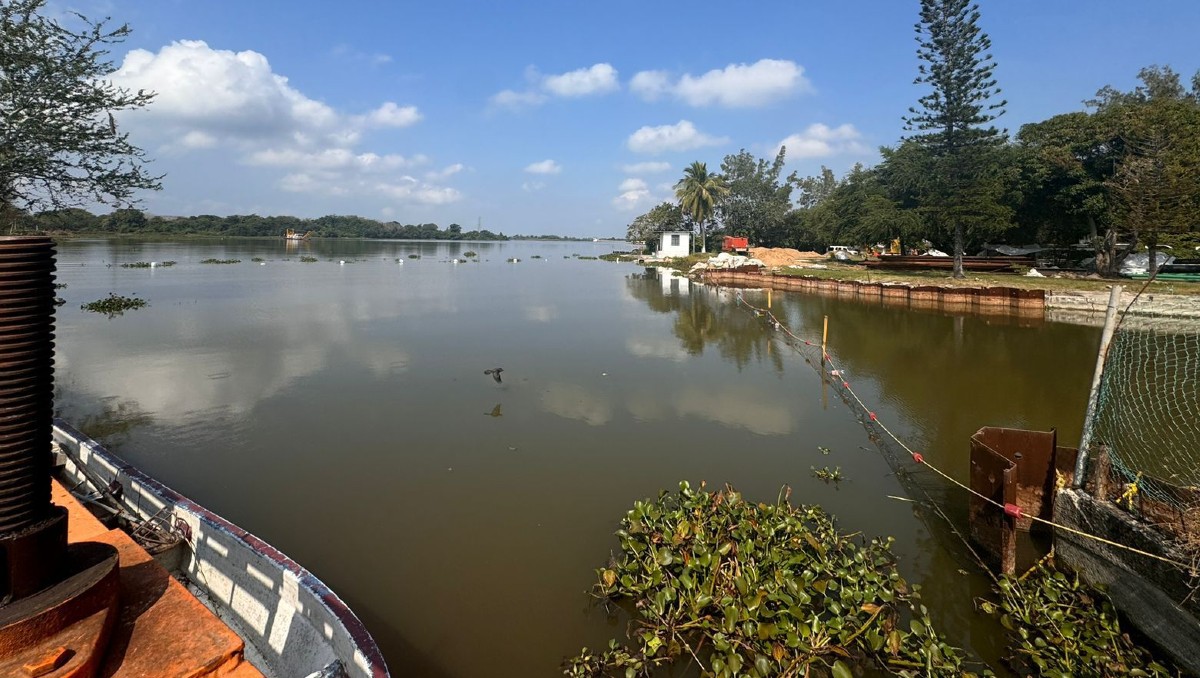 Laguna de Chairel de Tampico. (Yazmín Sánchez)