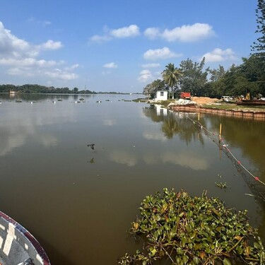Laguna de Chairel de Tampico. (Yazmín Sánchez)