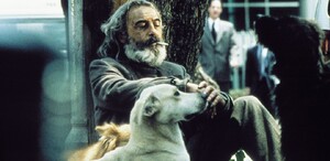'Amores Perros' se proyectará en Palacio de Bellas Artes | Especial