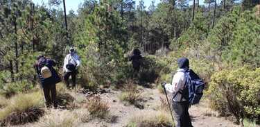 ¿Dónde está Pamela Gallardo? Una jornada de búsqueda dentro del Ajusco