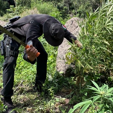 Policías Estatales de Caminos realizaron el hallazgo en un recorrido de vigilancia por Hostotipaquillo