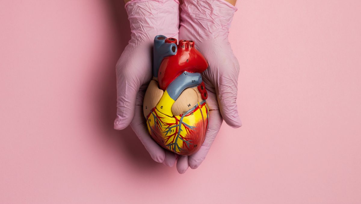 El corazón roto a más allá de una expresión, se ha comprobado que es posible experimentar daños físicos debido a las emociones |  Especial