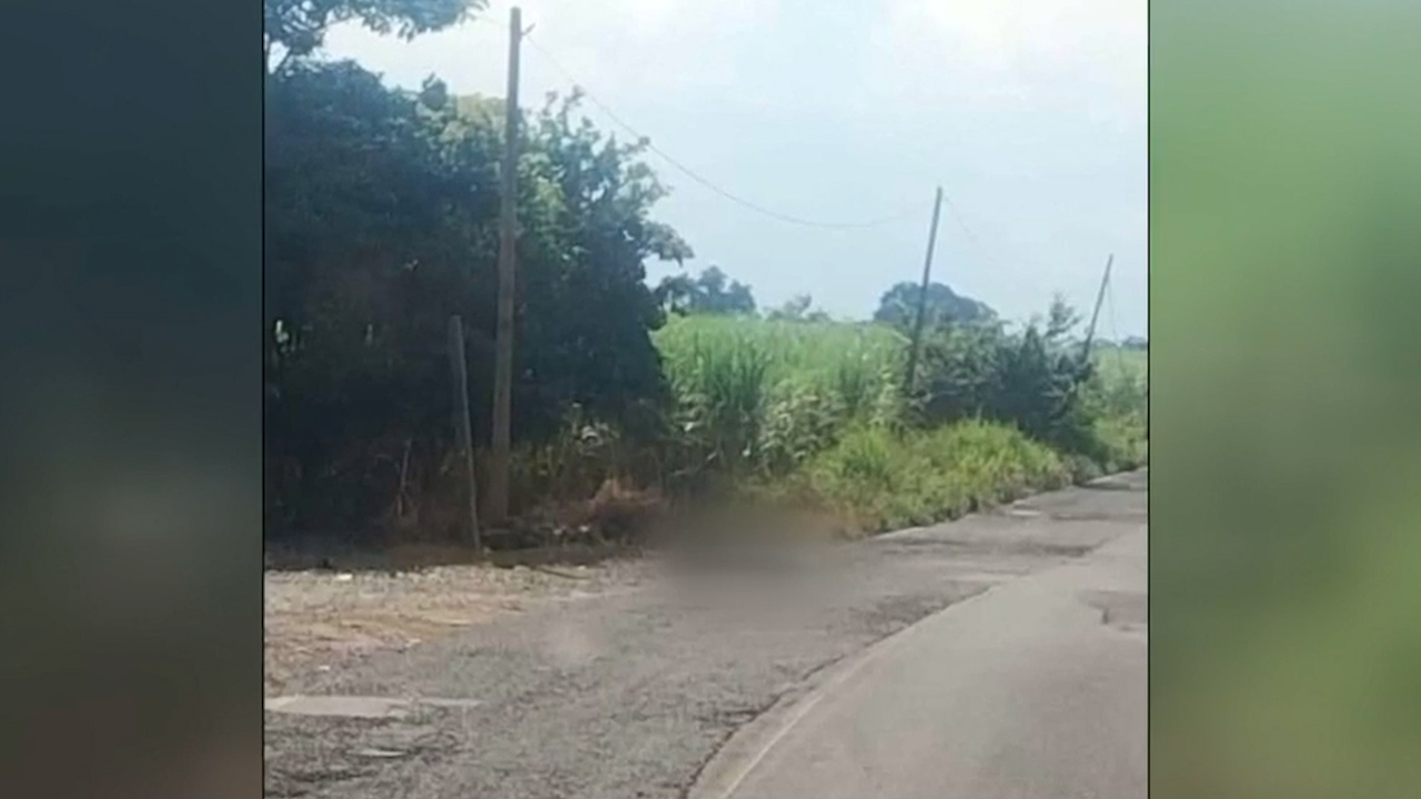 Encuentras restos humanos en al menos tres municipios de Veracruz