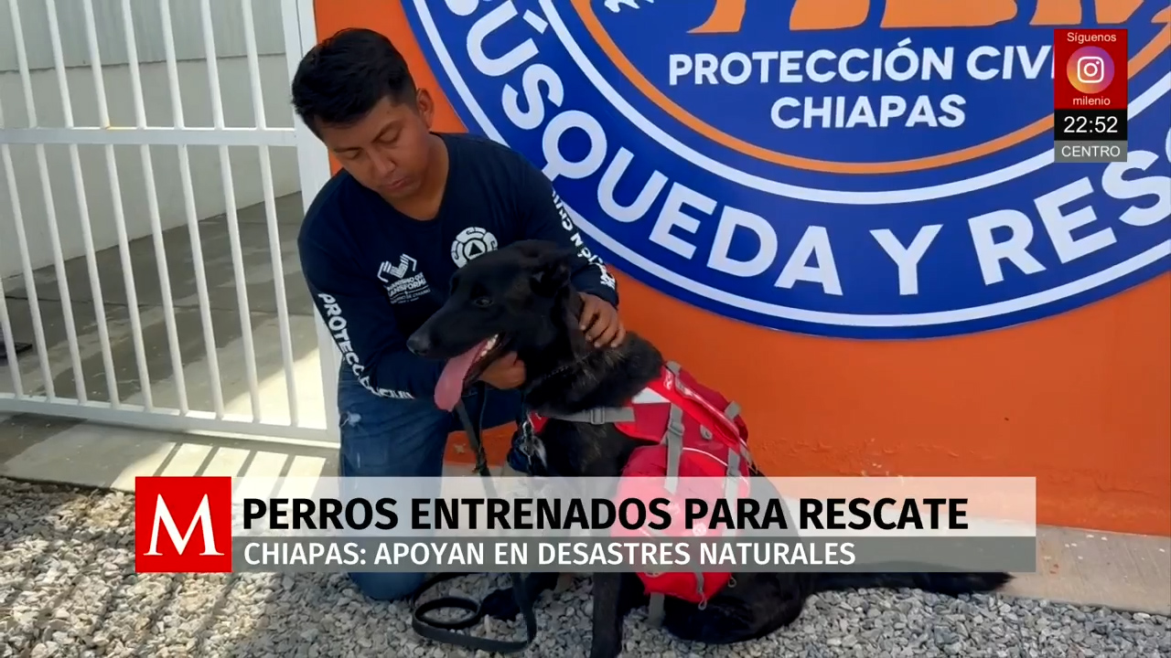 Unidad Canina de Búsqueda y Rescate en Chiapas aumenta su capacidad operativa