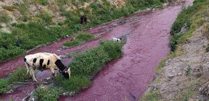 Aspectos de contaminación en el  Atoyac | Andrés Lobato
