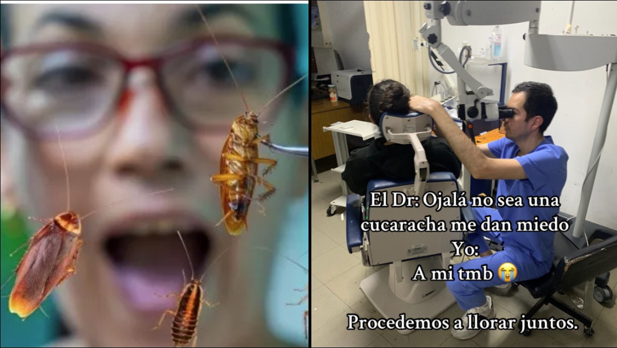 Va al hospital y descubre que traía una cucaracha en el oído | Foto: ESPECIAL