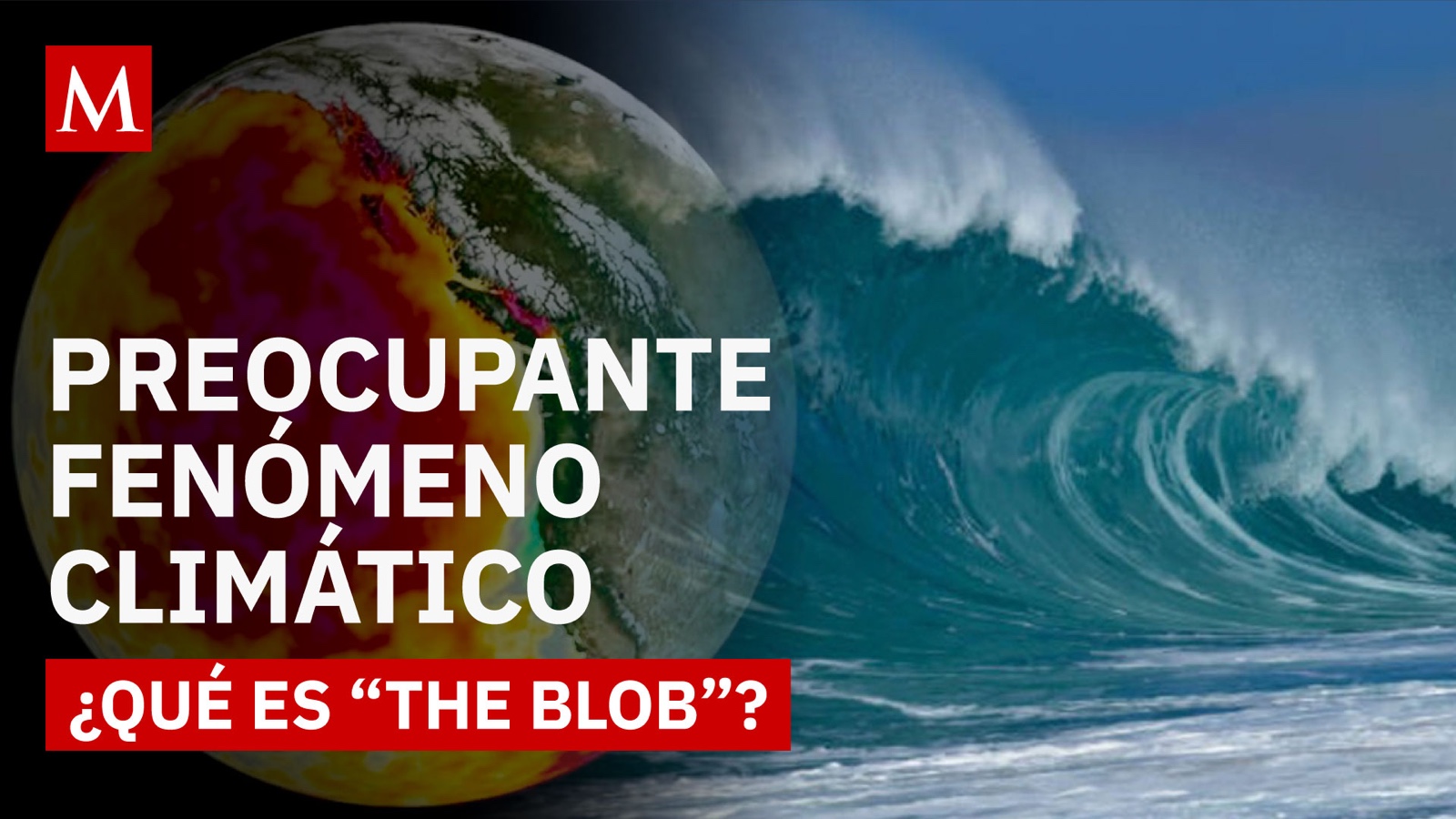 “The Blob”: el fenómeno climático que pone en alerta al Pacífico y amenaza la vida marina