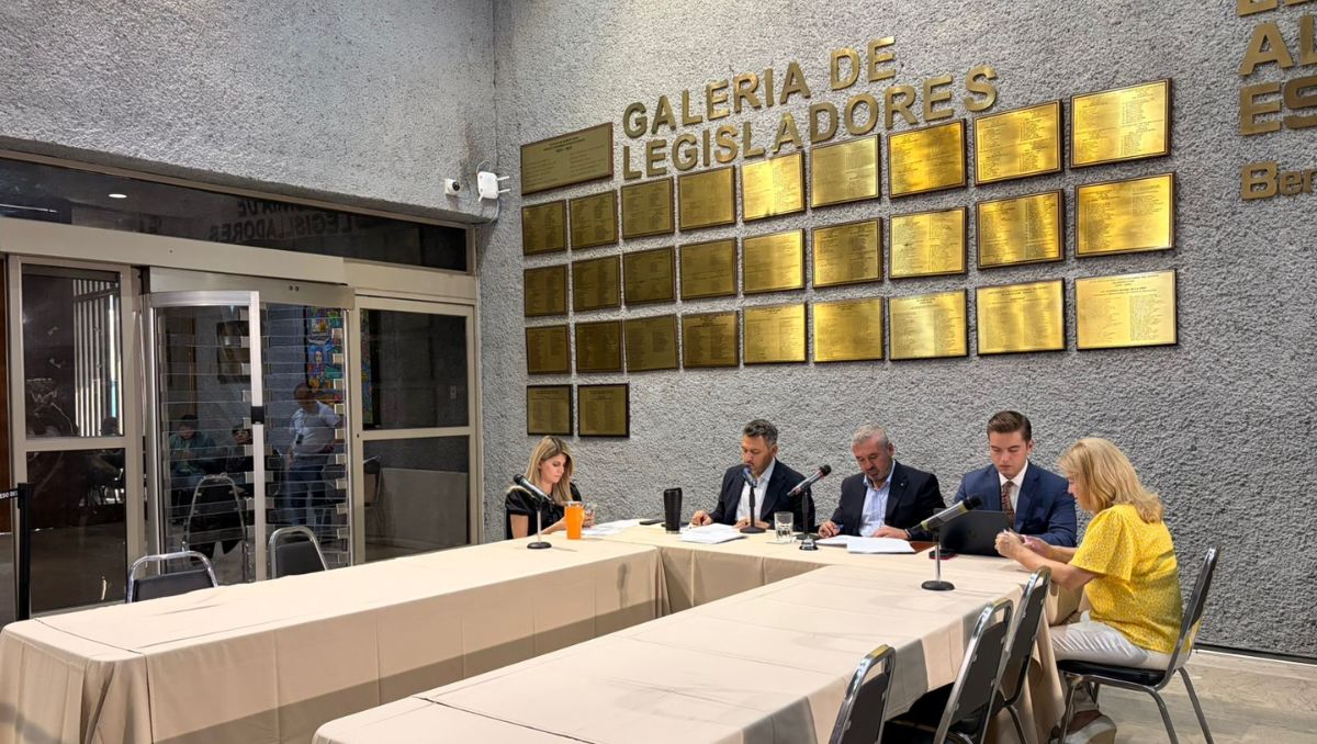 La Comisión de Justicia y Seguridad planteó castigar a los responsables  desde los 2 y hasta los 8 años según sea el coso del terreno. Kevin Recio