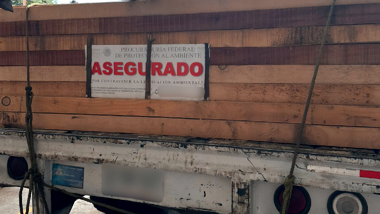 Donald Trump impondrá arancel del 10% a la madera importada