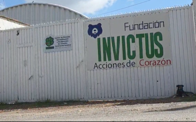 Osa permanece en vigilancia en la fundación Invictus. (Guadalupe Trejo)