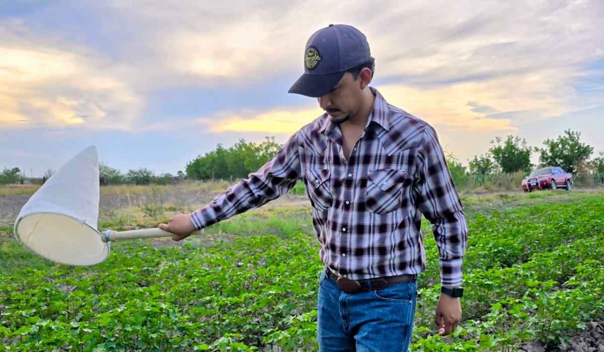 Steven Ávila Jara, alumno del doctorado en Ciencias Agropecuarias y Forestales de UJED. (cortesía)
