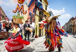 Oaxaca es mucho más que un destino turístico: es un punto de encuentro en donde se entrelazan tradiciones, gastronomía, herencia indígena y mucha cultura.
