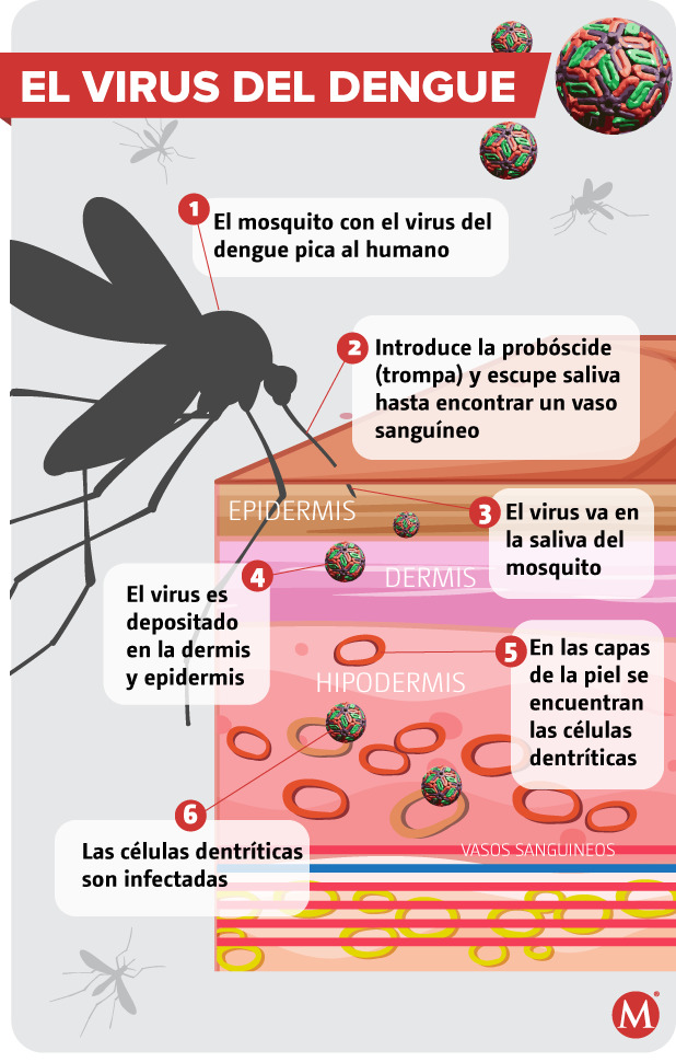 Dengue
