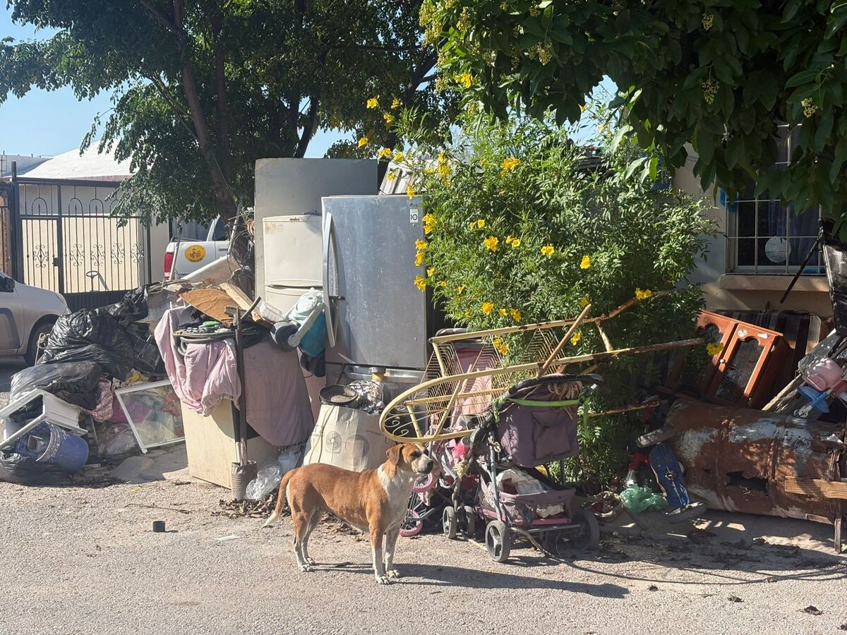 Los habitantes de La Noria han solicitado ayuda de las autoridades para limpiar una vivienda que se ha convertido en un foco de infección. | Especial