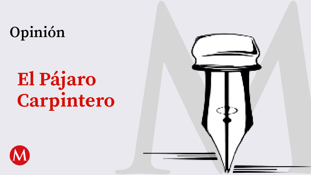 El Pájaro Carpintero