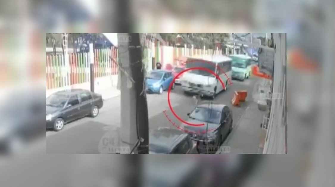 El perro husky murió en el lugar de los hechos. (Foto: especial)