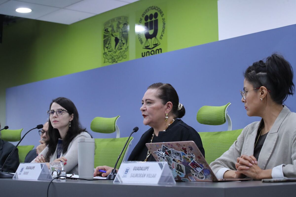 Taddei participó en el "Seminario Reforma electoral: ¿hacia dónde ir?" del IIJ de la UNAM. | Especial