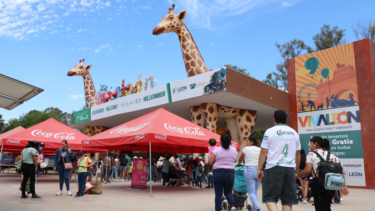 El Zoológico de León es un parque que alberga alrededor de mil 800 animales de 200 especies diferentes y ha sido foco de atención por irregularidades.