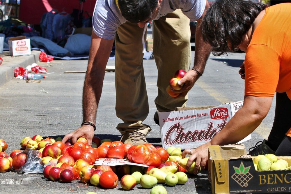 La agencia de alimentación reporta que cada año se desperdician mil 300 millones de toneladas de alimentos. (ESPECIAL)