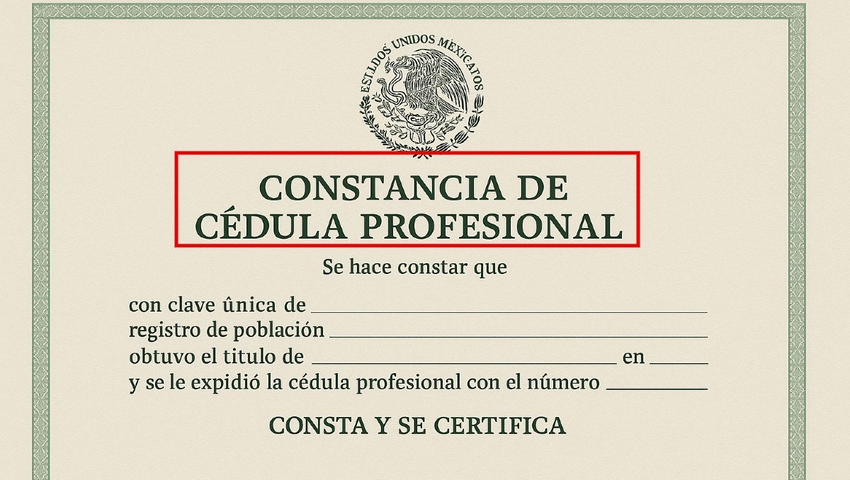 Cédulas profesionales ya se pueden verificar en este portal | IA Discover MILENIO