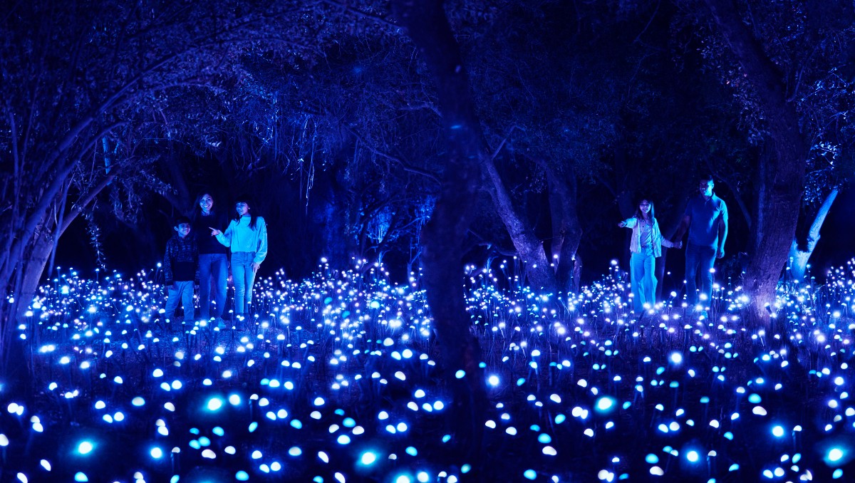 Light Cycles en CcMx 2025: experiencia inmersiva en Chapultepec