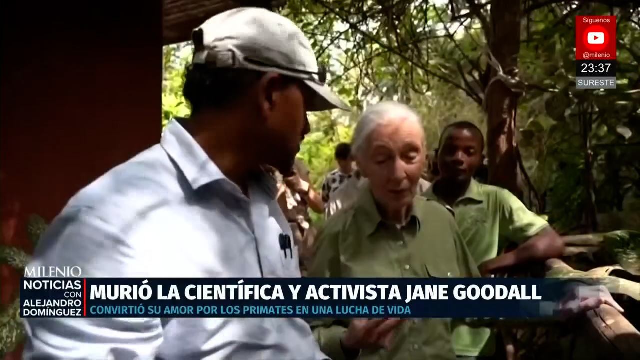 Muere Jane Goodall científica y defensora del medio ambiente