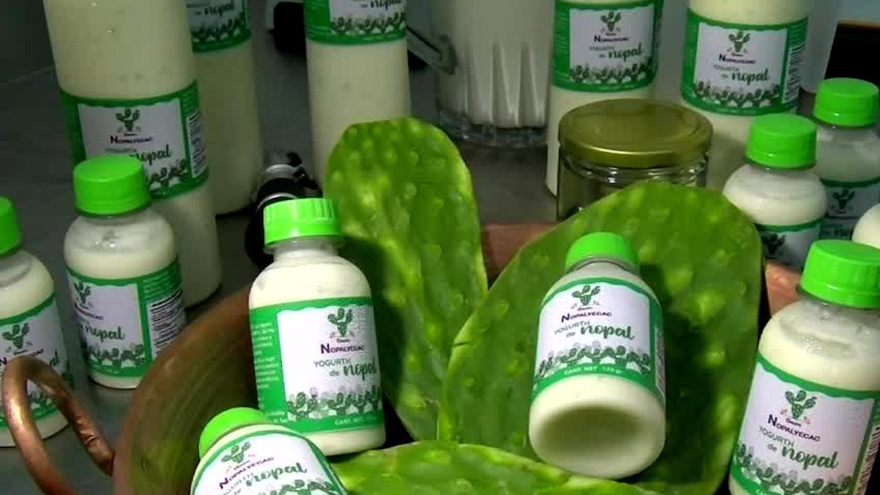 Mujeres transforman el nopal en yogurt artesanal en Puebla