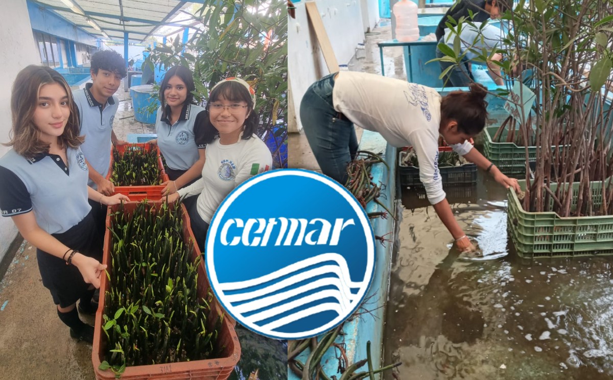 Nuevo Cetmar en Altamira | CETMAR