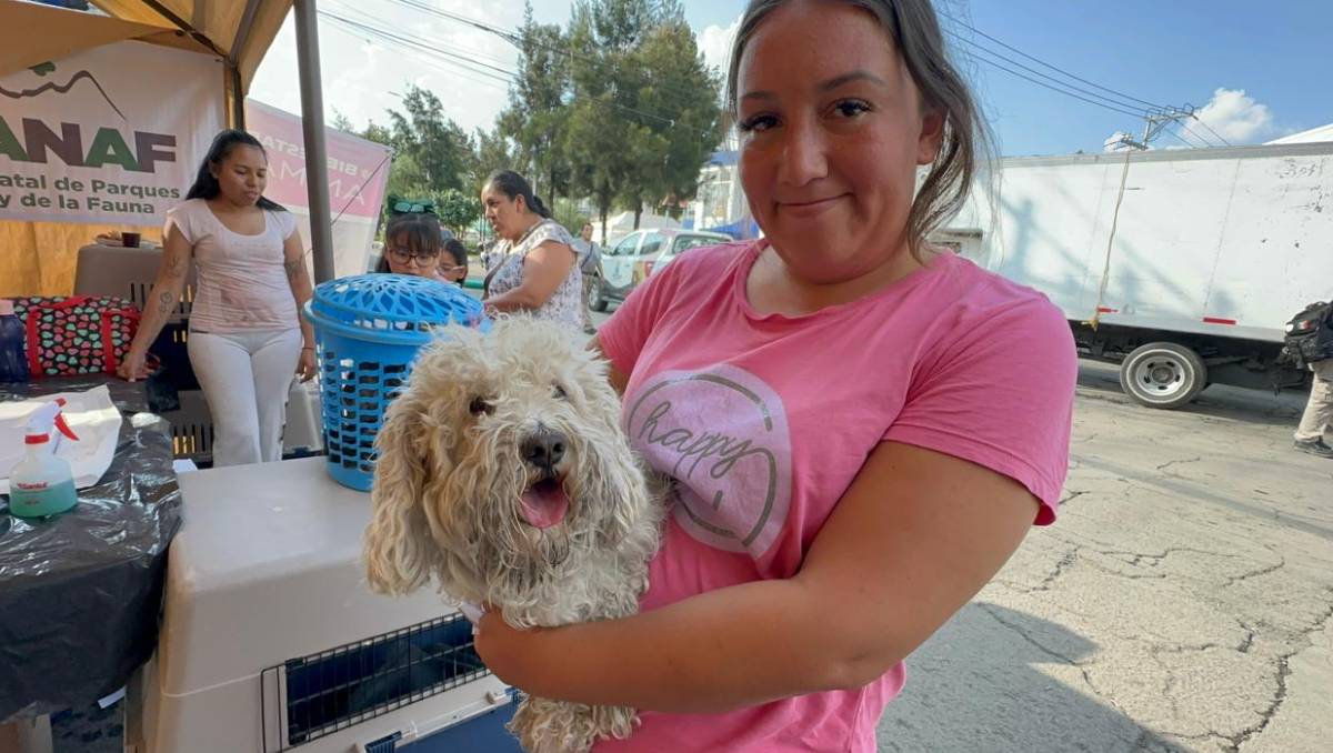 Las principales enfermedades detectadas en los animales durante esta emergencia son digestivas. Especial