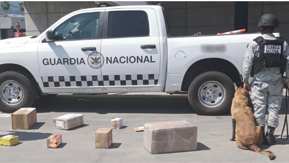 La droga fue asegurada por los elementos de la Guardia Nacional. | Especial
