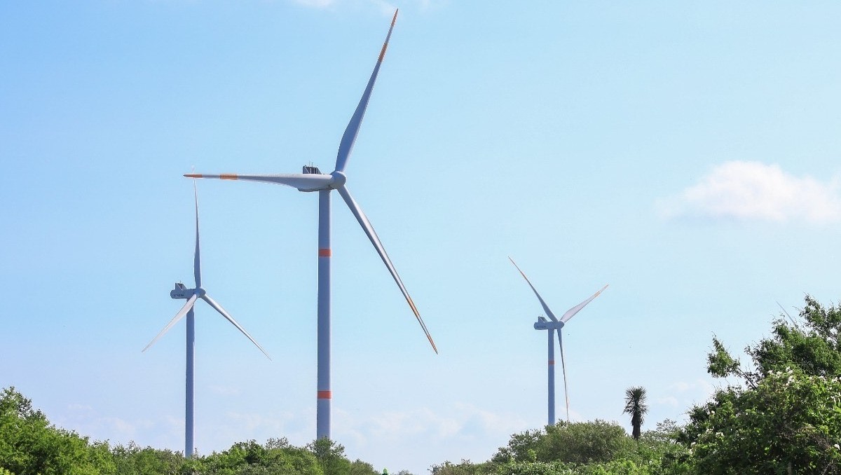 Parques eólicos en Tamaulipas.