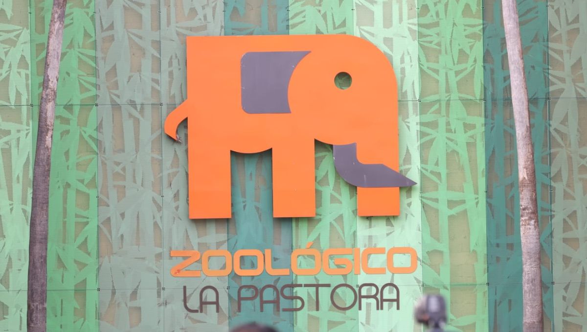 Profepa clausuró las instalaciones del Zoológico La Pastora. | Luis Guerra.