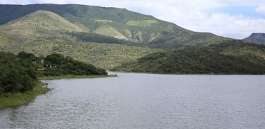 Presas de Guanajuato alcanzan 98.8% de almacenamiento global en 2025, 13% más que en 2024.