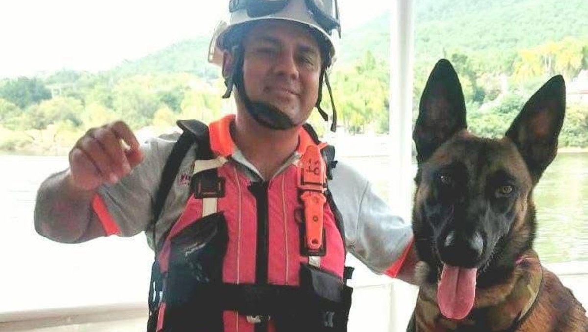 El canino participó activamente en la búsqueda de personas entre los años 2020, 2021 y 2022. Foto: Especial