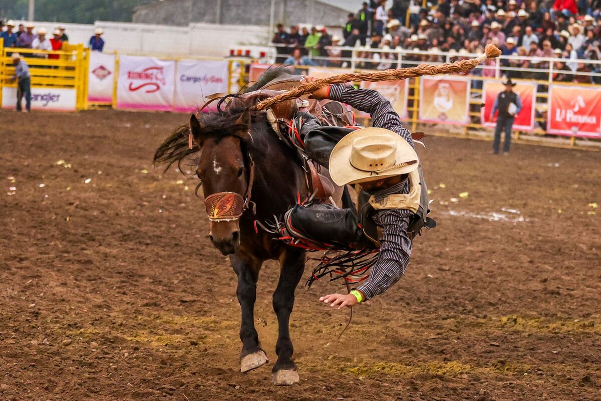 Para esta edición del Rodeo Saltillo se esperan más de 60 mil asistentes y una derrama económica superior a los 100 millones de pesos. | Cortesía