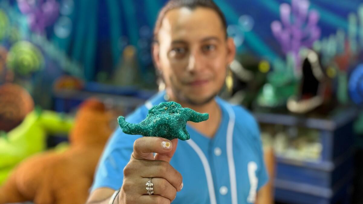 Dinoquesadillas, un platillo viral hecho con creatividad en Coahuila. (Kevin Carranza)