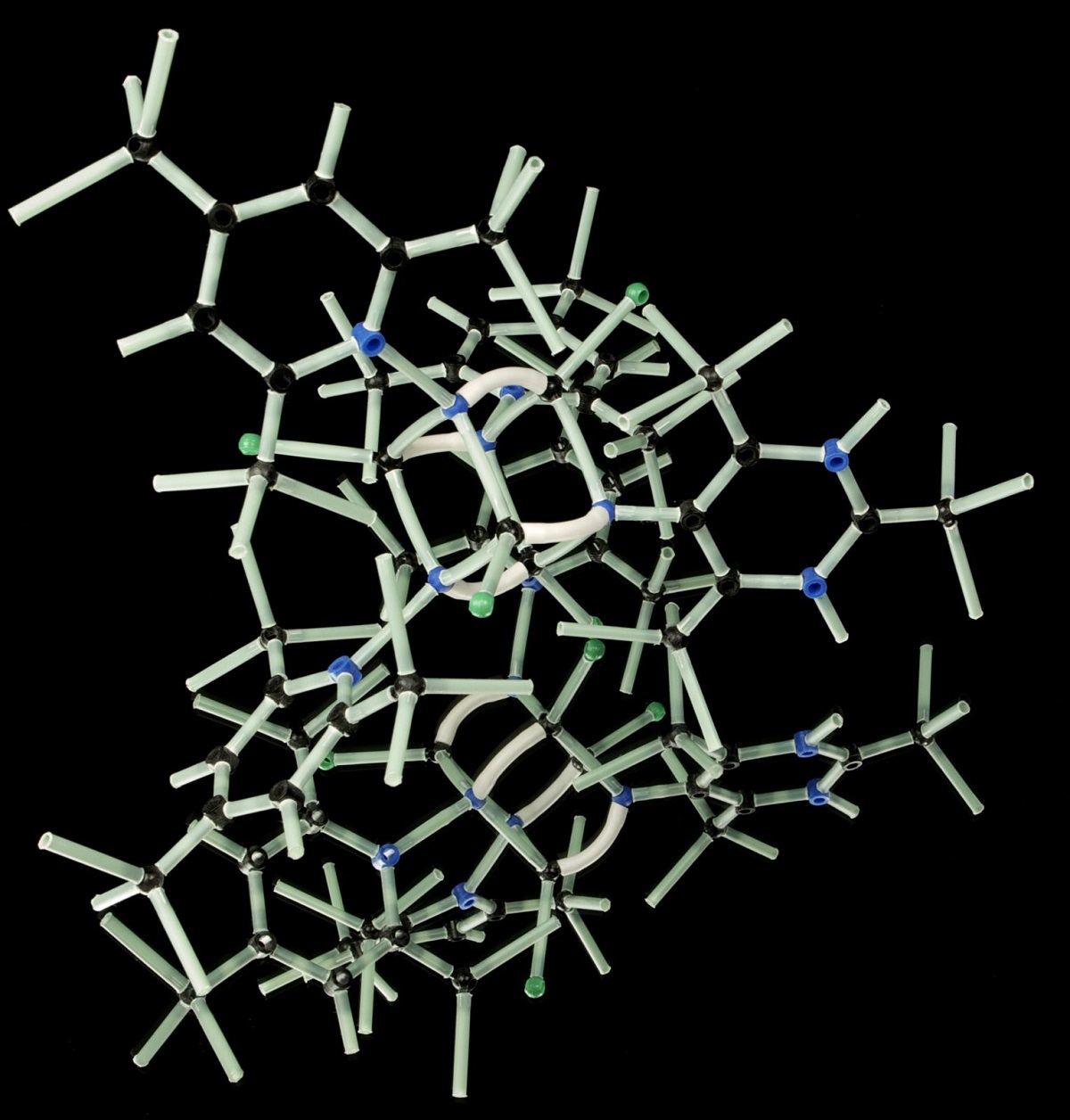 Las unidades básicas de proteínas pueden modular diversas funciones del sistema inmunitario. (Cortesía)