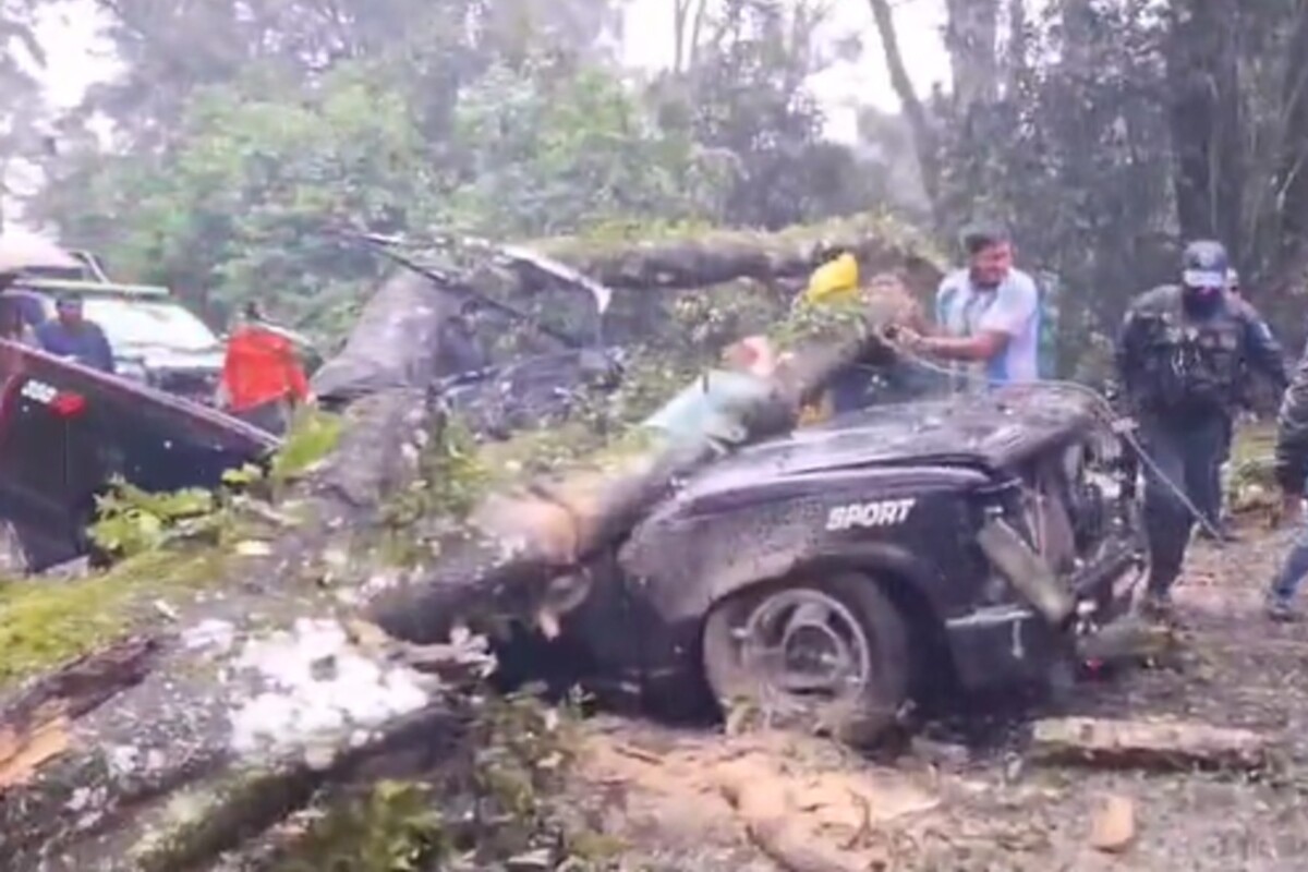 Árbol caído en carretera Acaxochitlán–Venta Quemada deja dos muertos y dos niños heridos.
