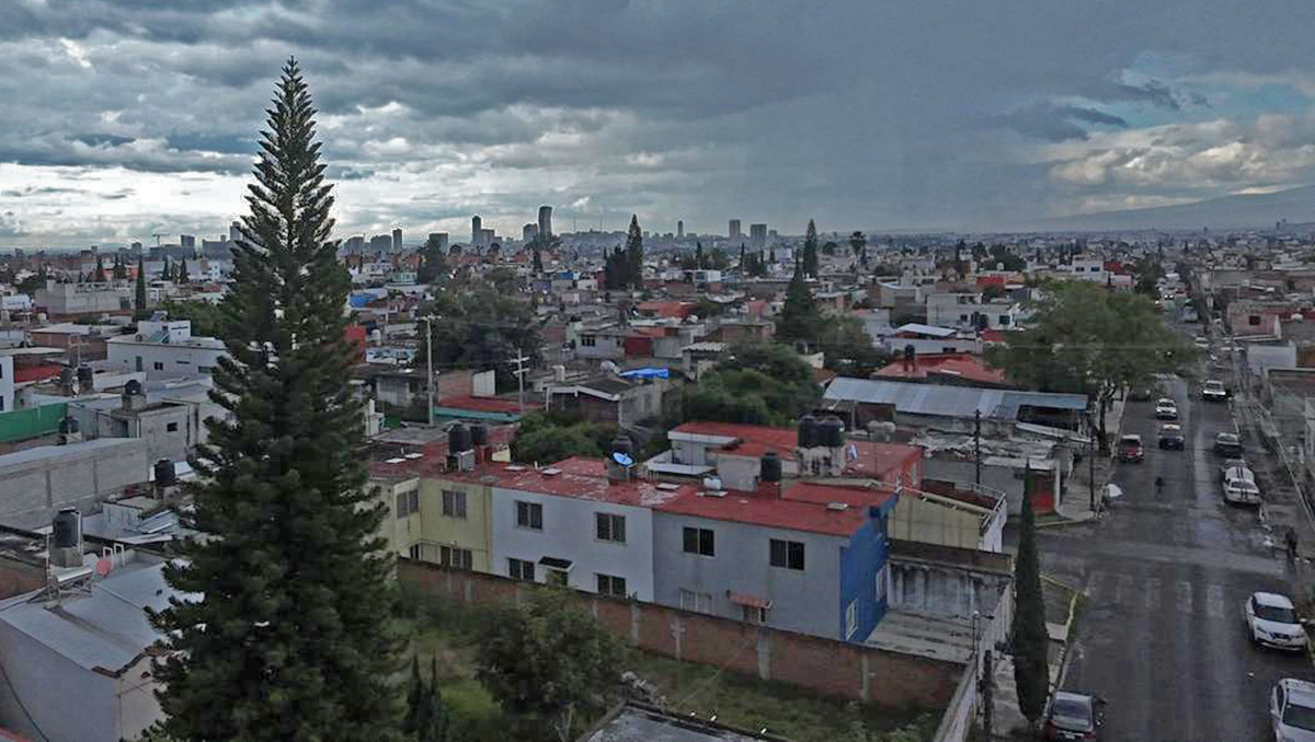 Árboles, un riesgo para familias por poda inadecuada | Andrés Lobato
