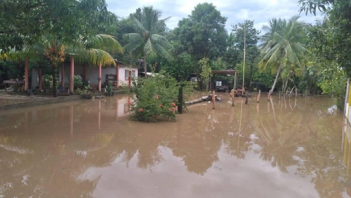 Las fuertes lluvias fueron ocasionadas por una zona de baja presión. | Especial