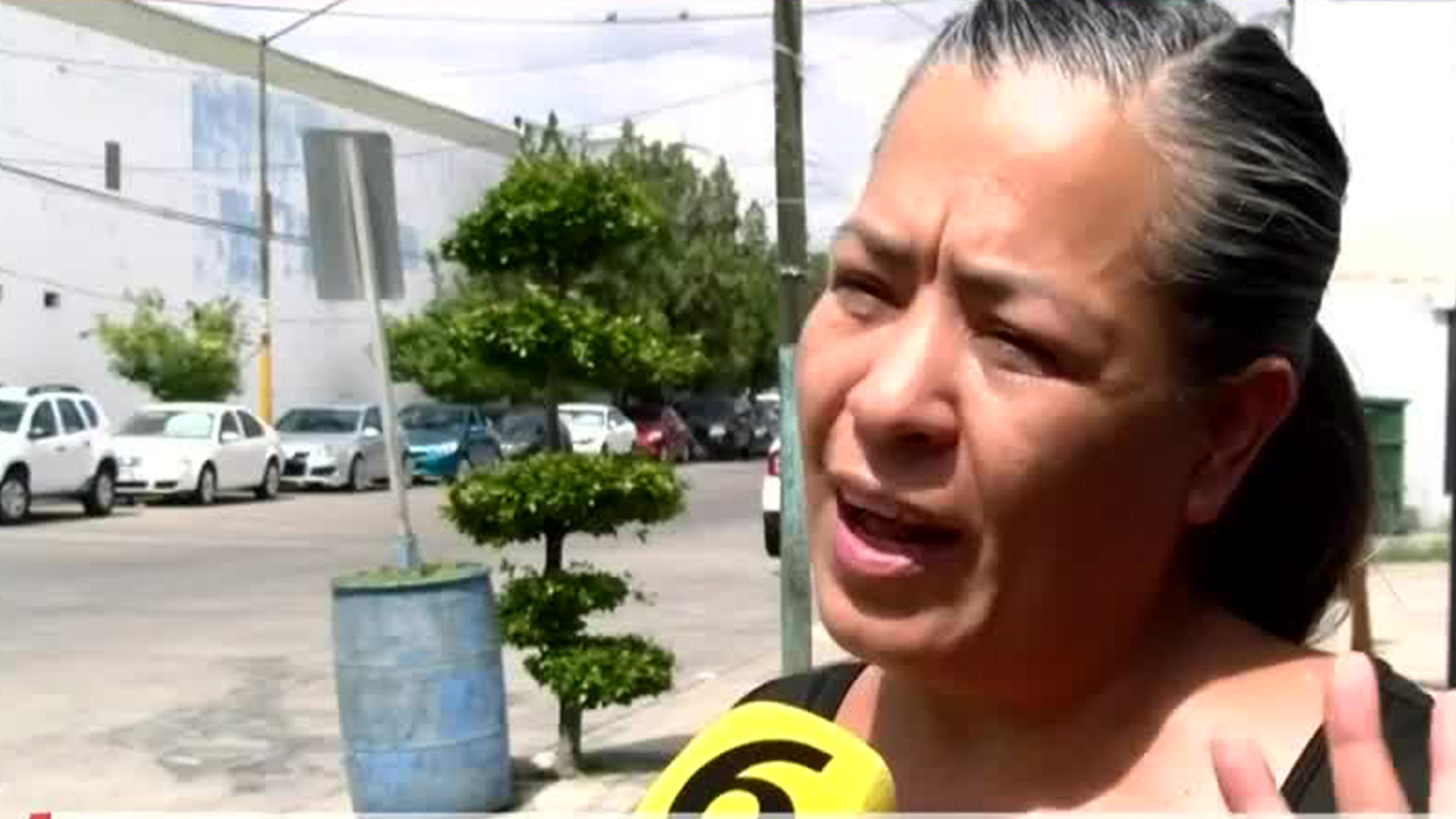 Georgina Velasco, madre de Garín: "Quiero justicia, no voy a permitir que su muerte quede impune"
