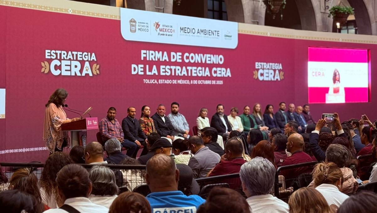 En julio se presentó Estrategia CERA que busca controlar la sobrepoblación canina y felina. Foto: Monserrat Mata