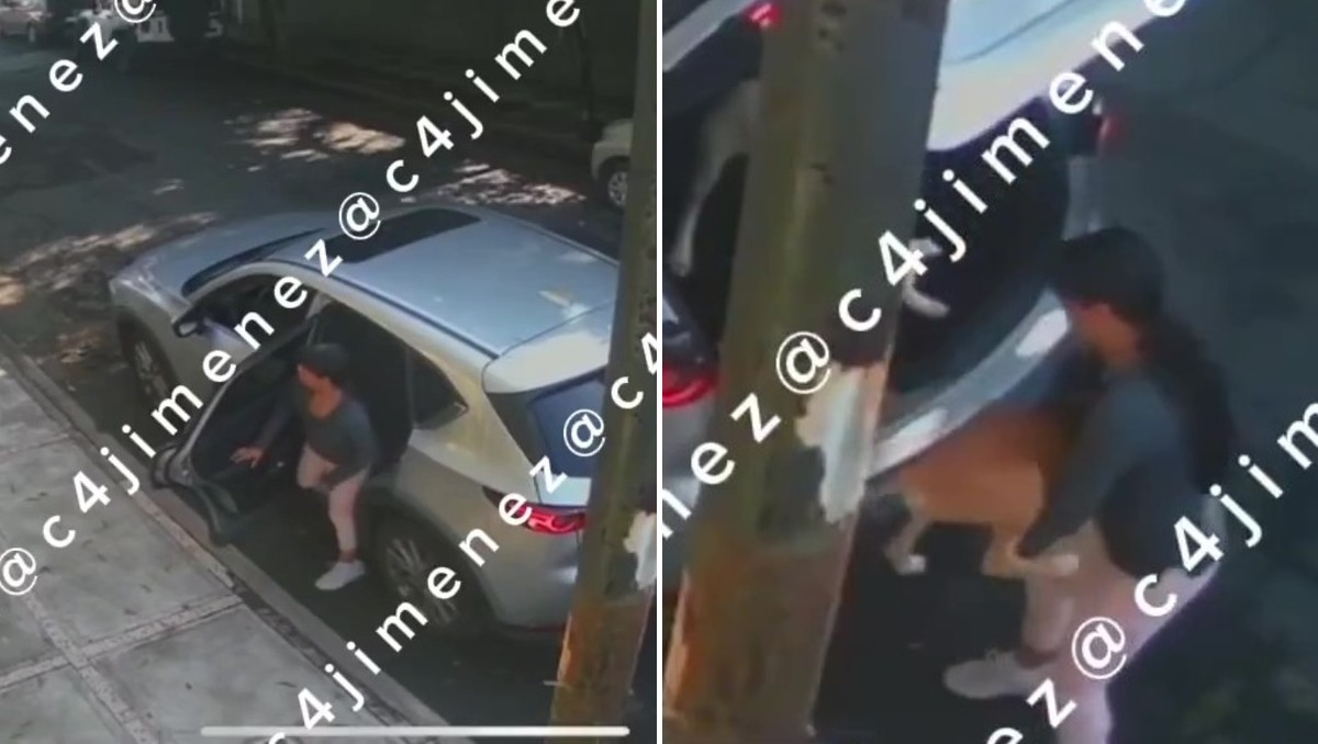 La mujer bajó a dos perritos de la cajuela y dejó a uno abandonado. | Especial