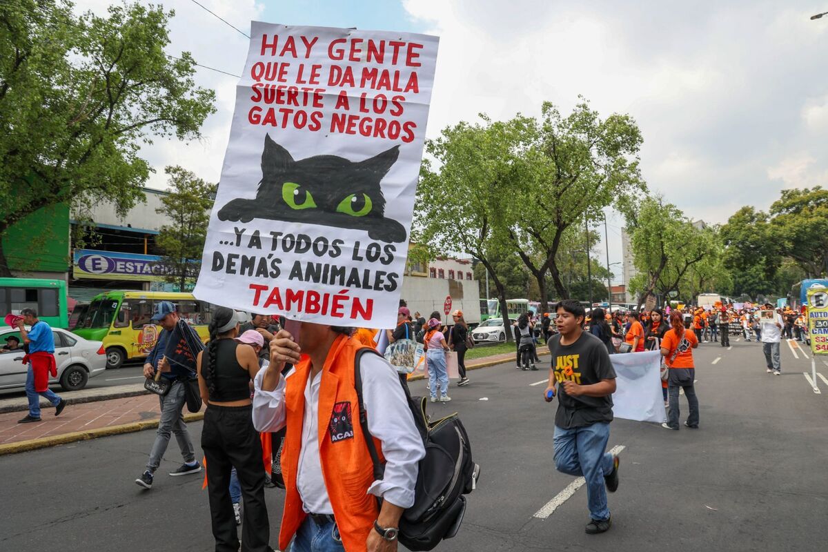 Los manifestantes marcharon desde Fray Servando con la intención de llegar al Mercado de Sonora. | Cuartoscuro / Moisés Pablo