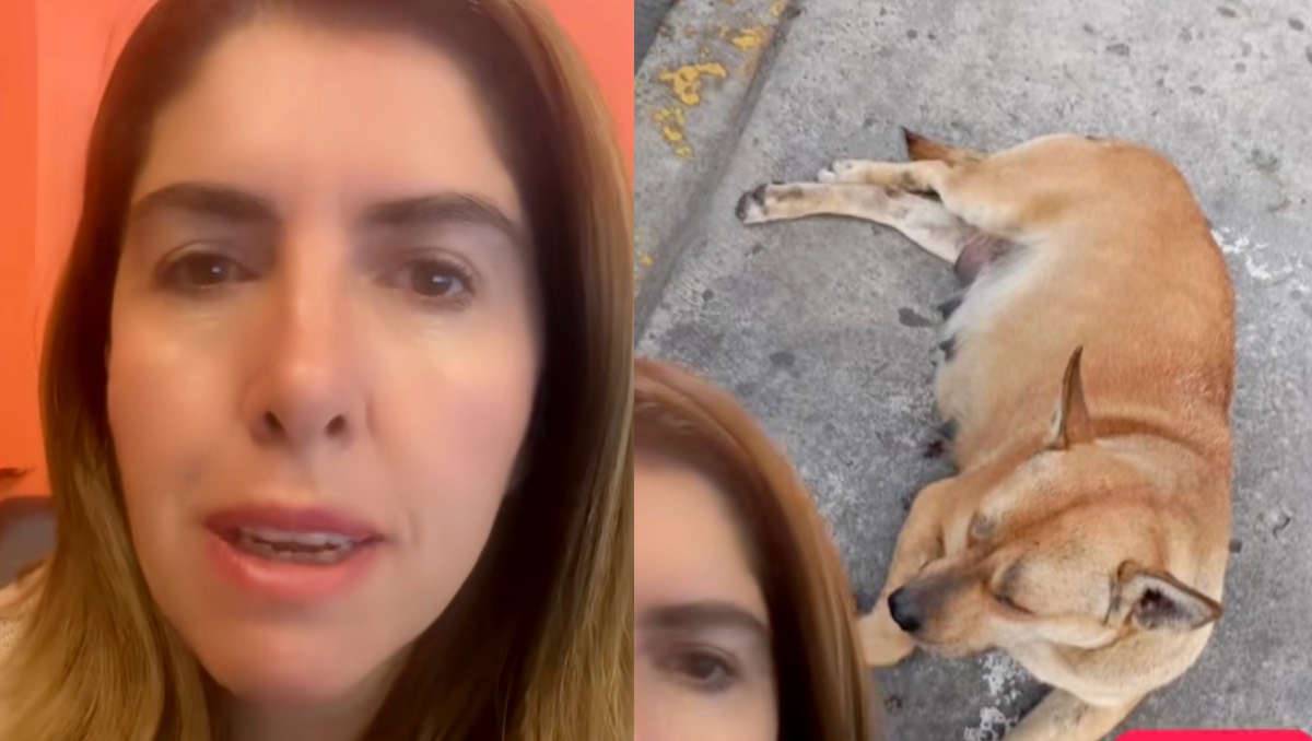 Melissa Vargas denuncia violencia en centro comercial. | ESPECIAL