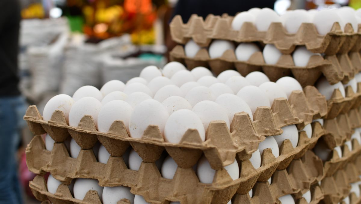Día Mundial del Huevo: Puebla es segundo productor nacional | EsImagen