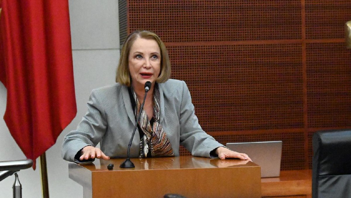 La presidenta del Senado, Laura Itzel Castillo Juárez, informó sobre el recibimiento del documento. | Especial