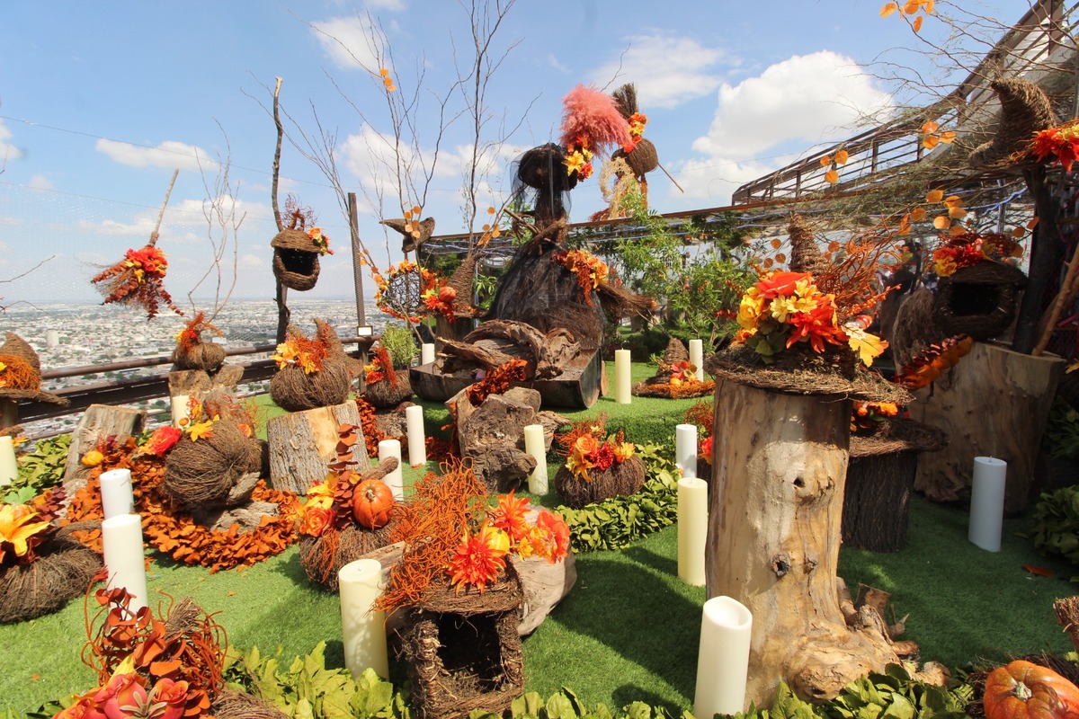 En Torreón, Puerto Noas inaugura su nueva 'Exposición de Otoño' (Verónica Rivera)