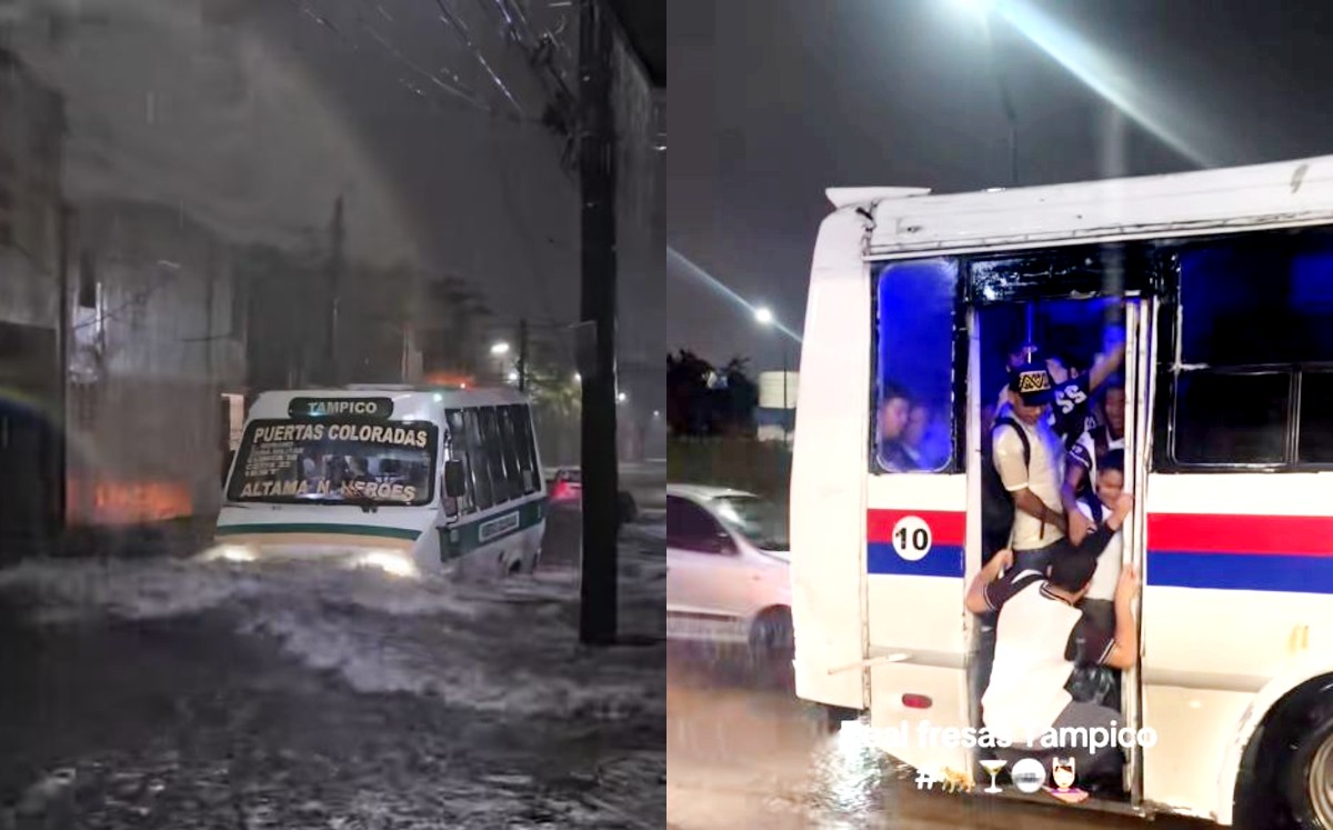 Al rededor de 10 publicaciones o más se viralizaron en la plataforma de Tiktok.